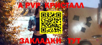 спиды Сланцы