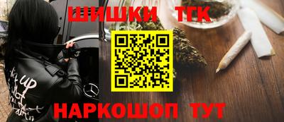 сатива Славгород
