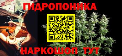 сатива Славгород