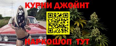 сатива Славгород