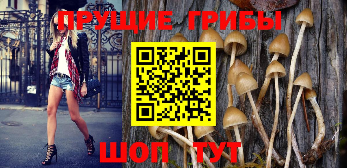Галлюциногенные грибы GOLDEN TEACHER  Вход с VPN  Новый Уренгой 